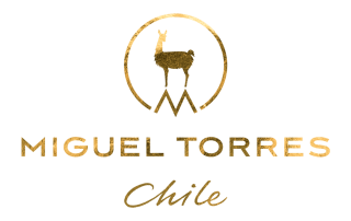 MIGUEL-TORRES-320x202